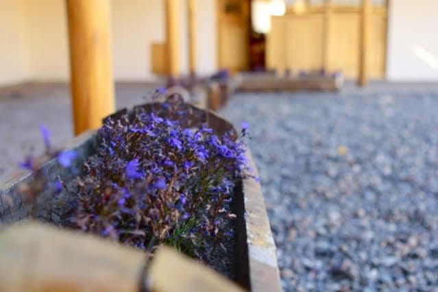 Hotel Tierra Mapuche Esquel Exterior foto